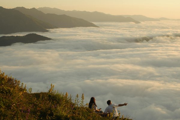 Quelles croisières offrent des ateliers de yoga sur les plages des Maldives?