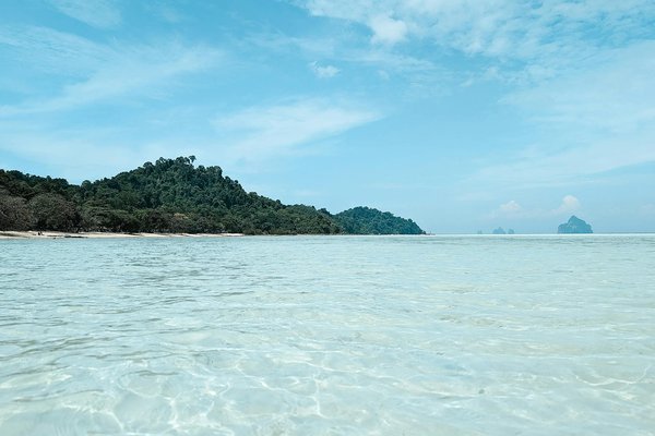 Quels sont les meilleurs spots pour observer les dauphins en Grèce?